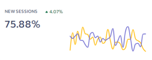 SEO New Sessions Graph